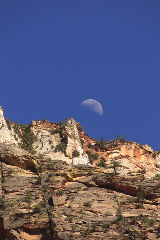 zion4-sk.JPG
