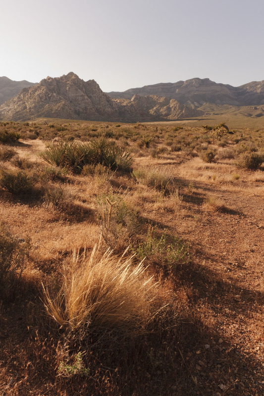 redrockcanyonevening-sk.JPG