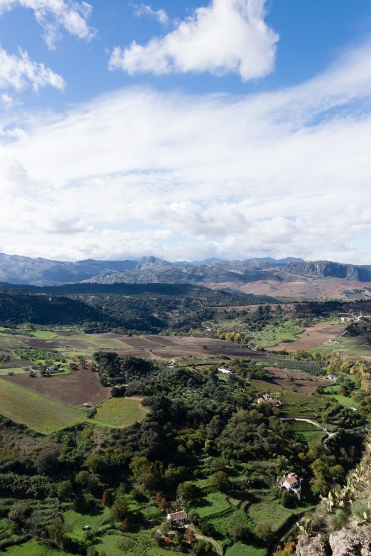 ronda8-sk.JPG