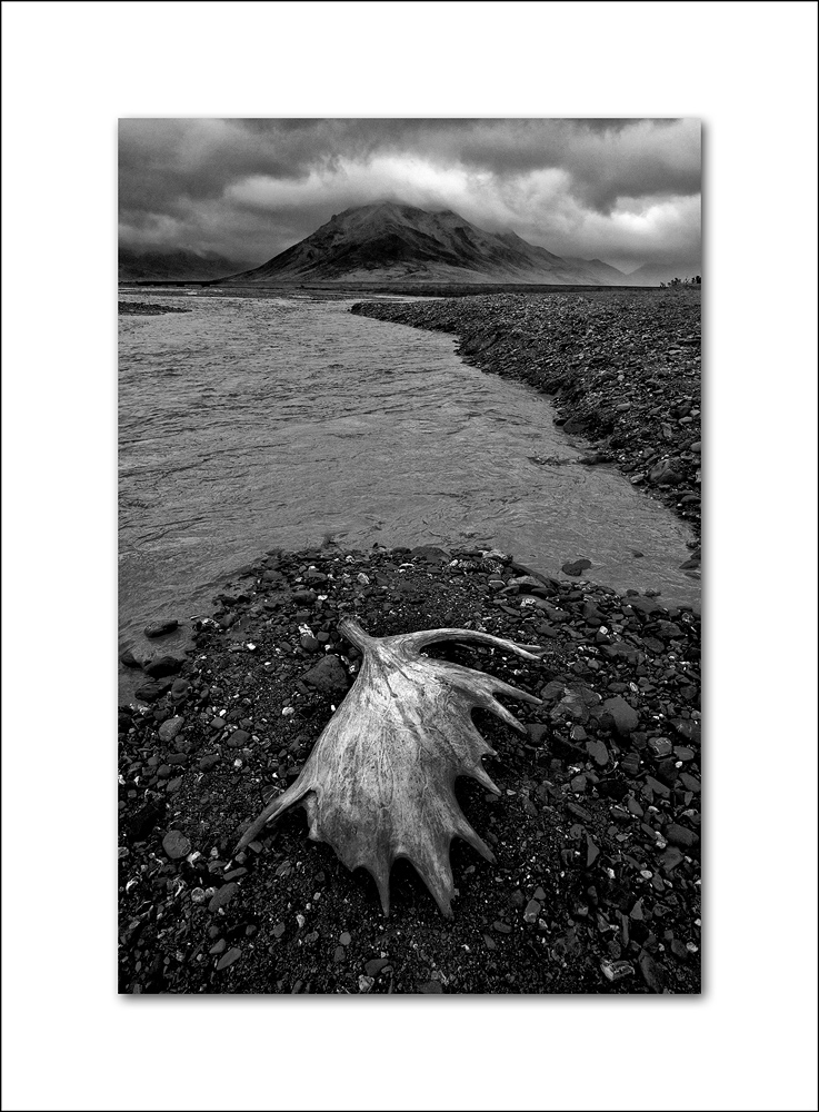Alaska Day 1 314.jpg