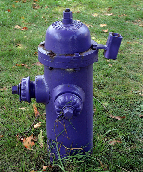 purple fire hydrant...