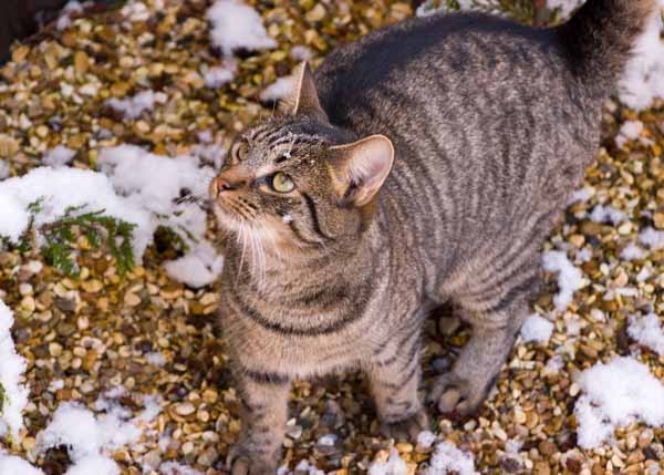 DSC_5359.jpg