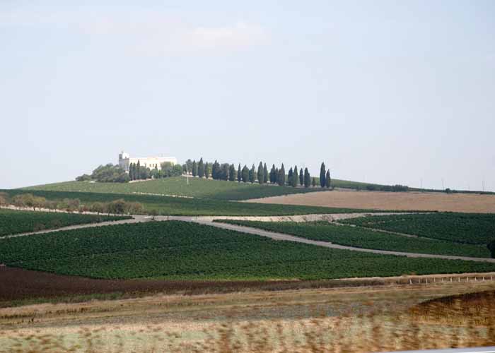 DSC_8068.jpg