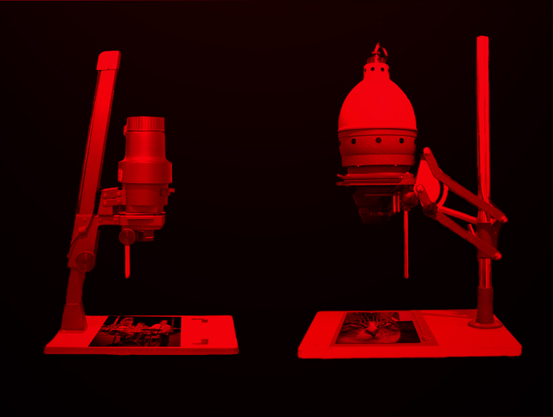  Dark Room