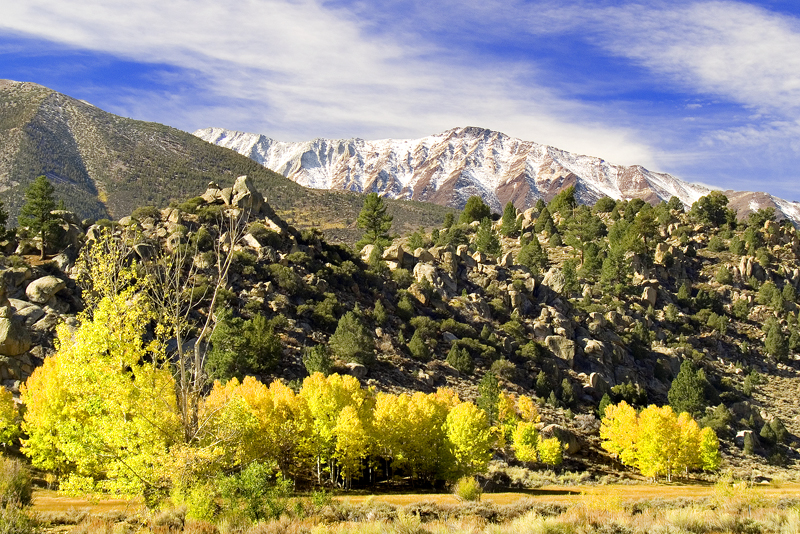 Highway 395 scene north of Bishop