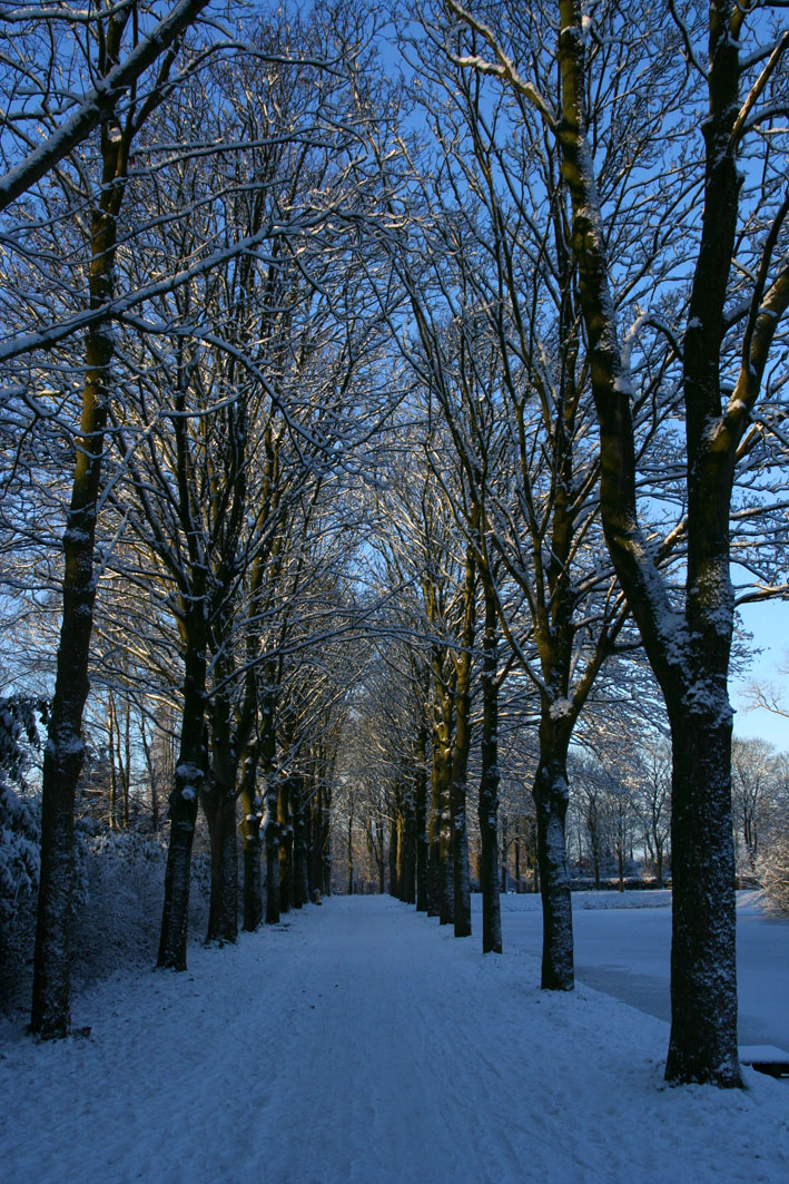 IMG_7635.JPG