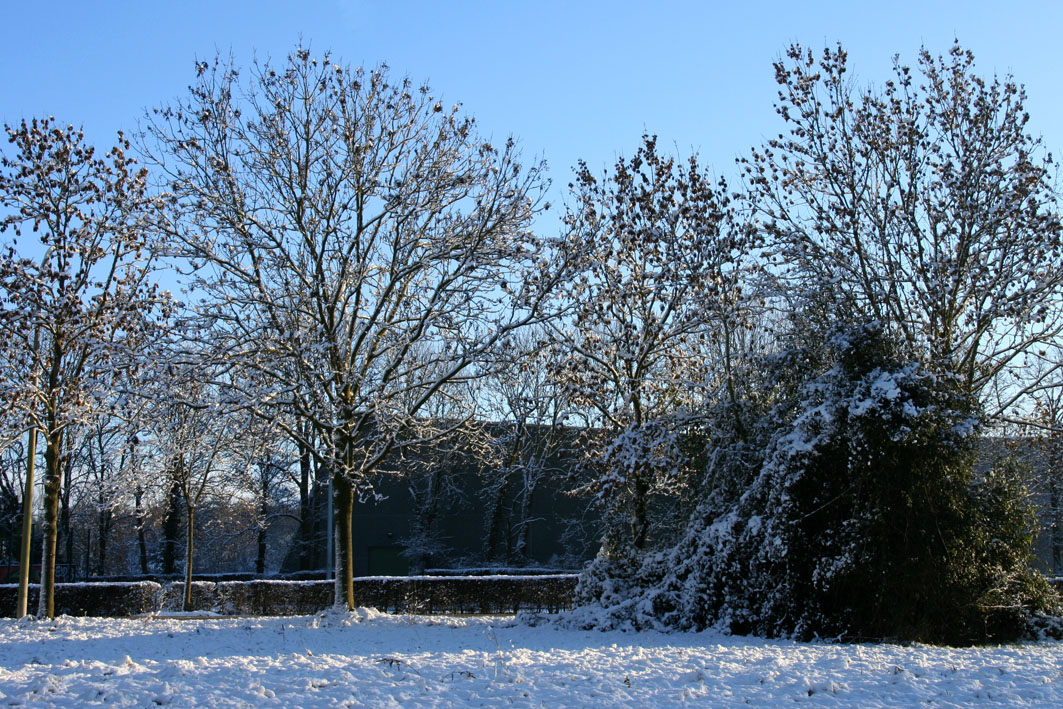 IMG_7656.JPG