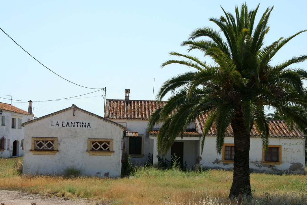 the cantina