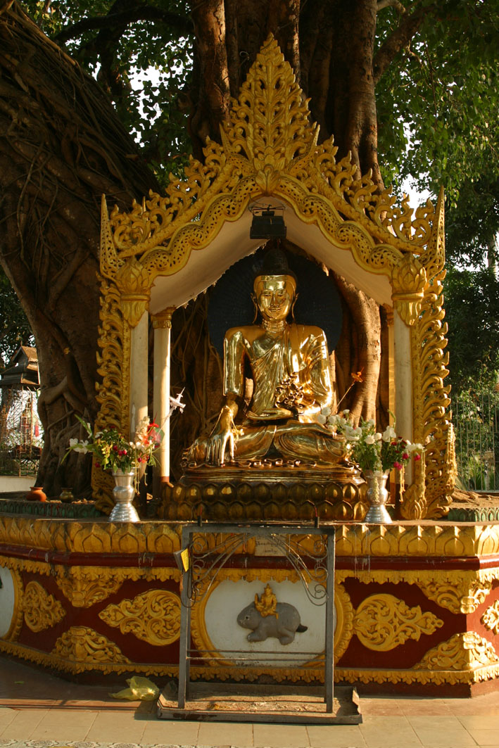 at Shwe Dagon Pagoda