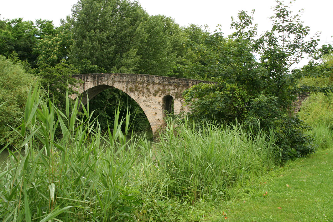 near Pamplona