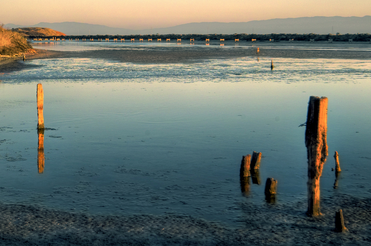 Pilings and a Trestle