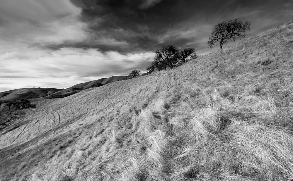 Steep Hillside