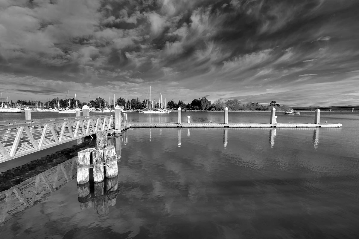 Humbolt Bay Marina