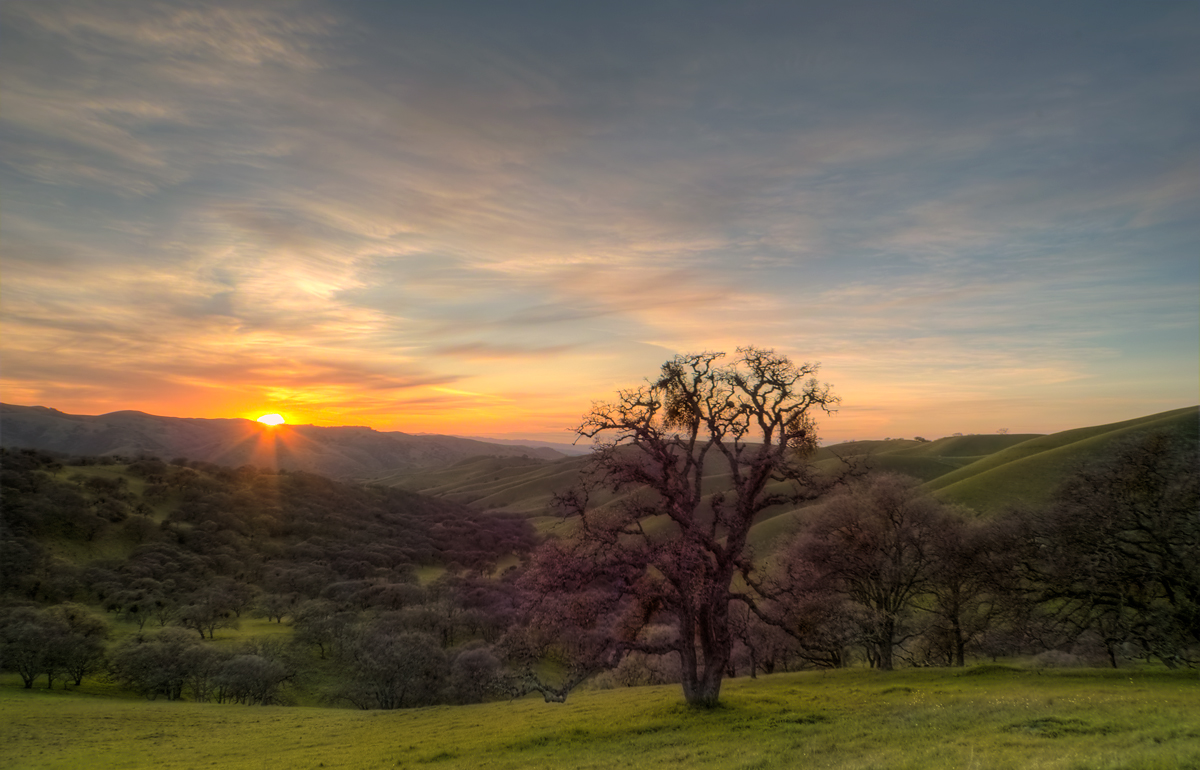 Del Valle Sunset