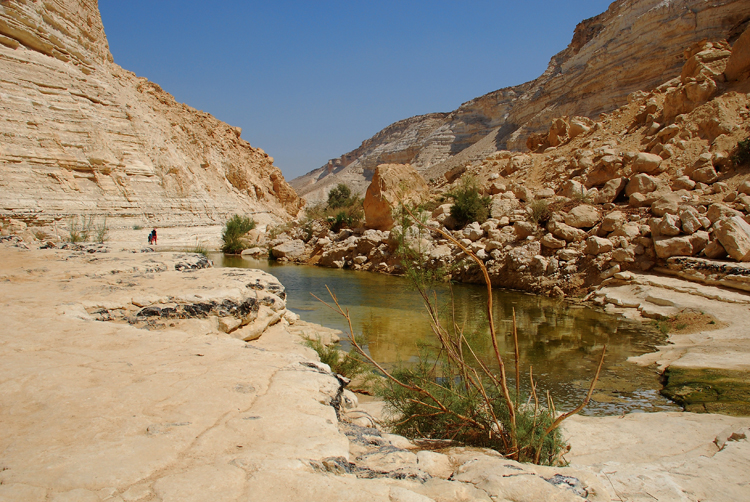 20100923_2064.JPG