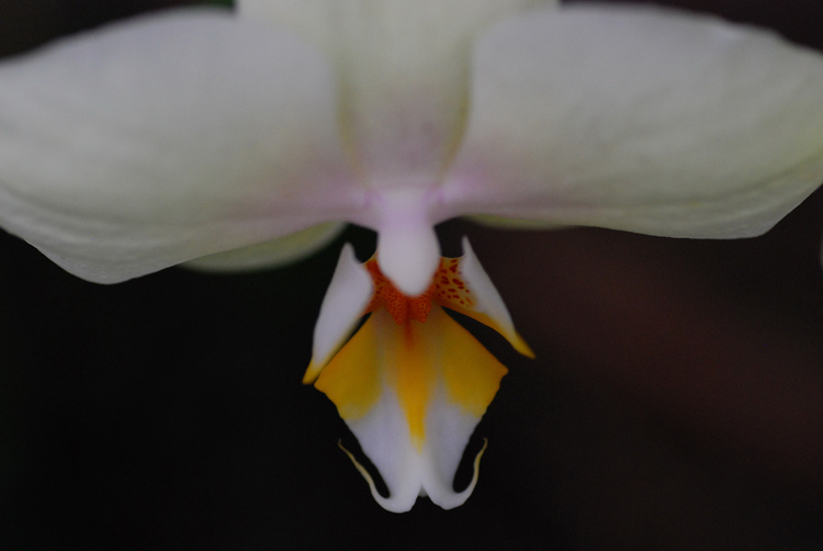 DSC_2682.JPG