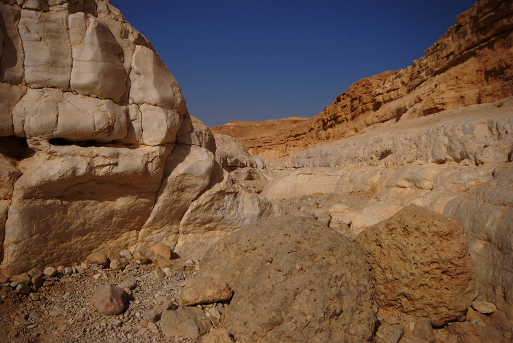 DSC_3470.JPG