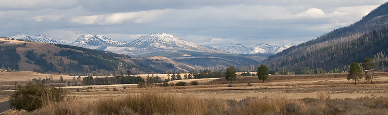 The Lamar Valley