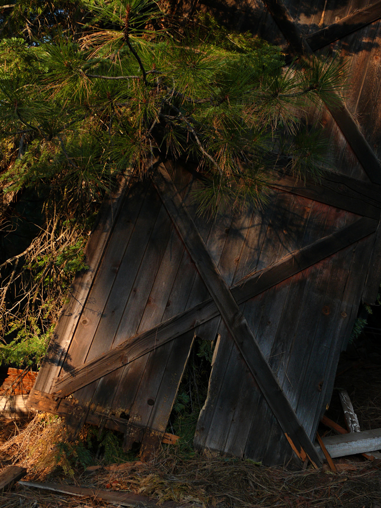 Barn door, Pondosa, California, 2008