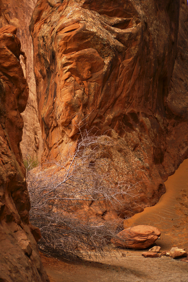The Devils Garden, Arches National Park, Utah, 2009