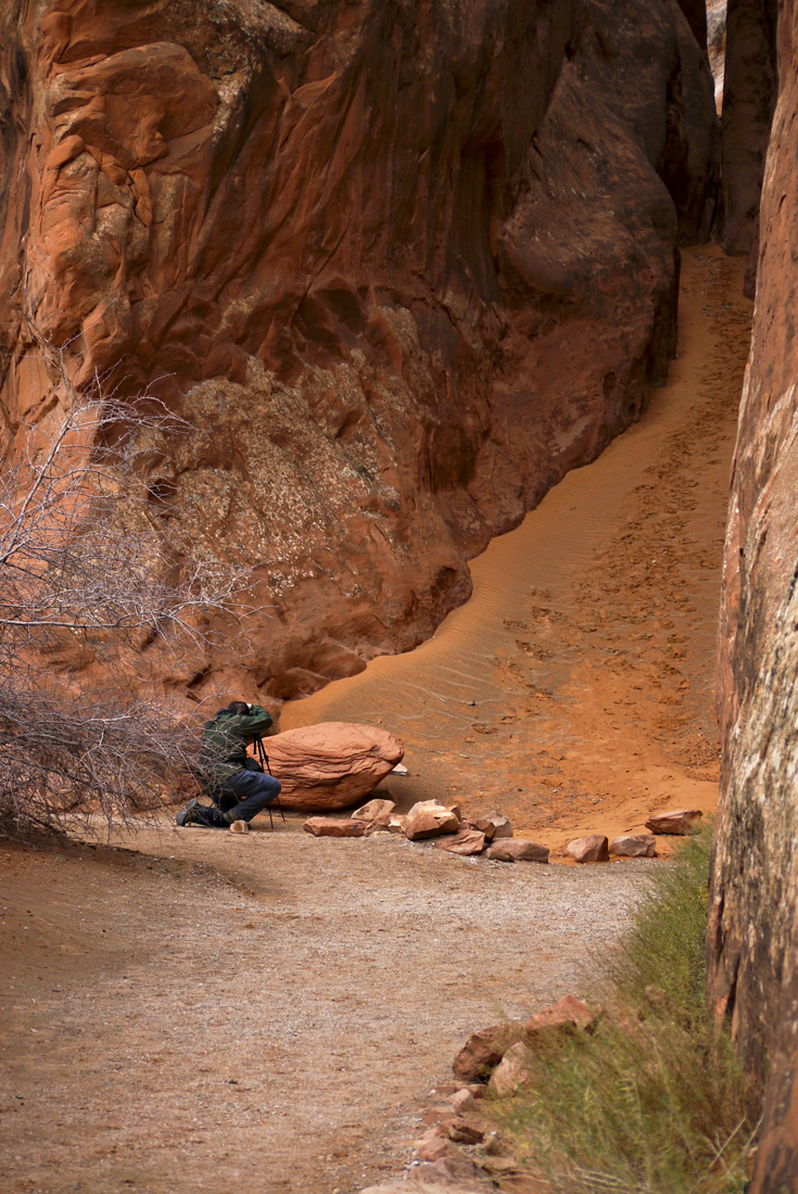In the Devils Garden, Arches National Park, Utah, 2009