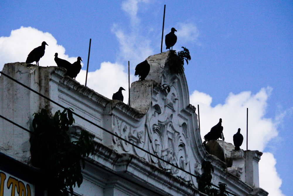Dependence, Belem, Brazil, 2010