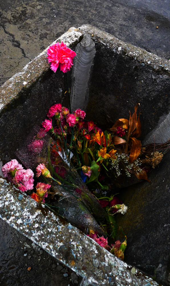 Discarded flowers, Cuenca Cemetery, Cuenca, Ecuador, 2011