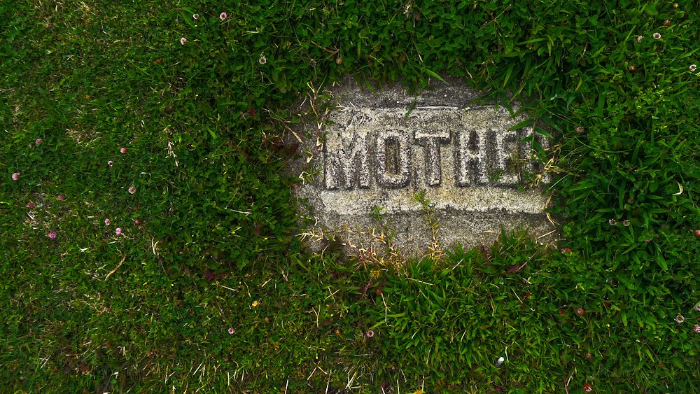 Remembering mother, Cayucos, California, 2012