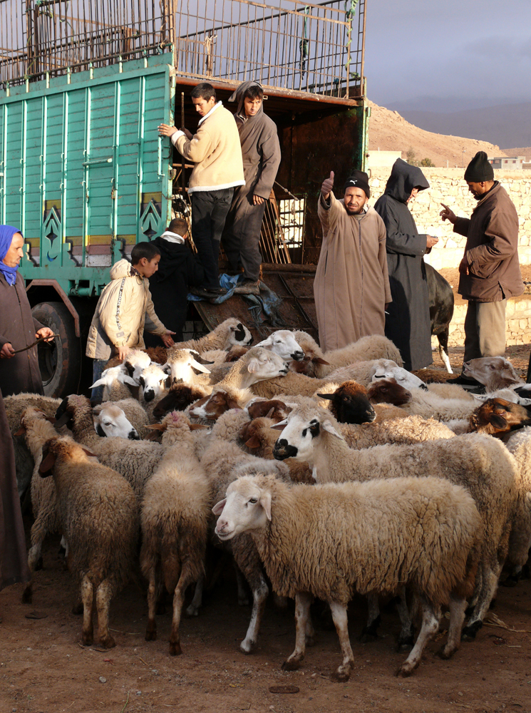 By the truckload, Tineghir, Morocco, 2006