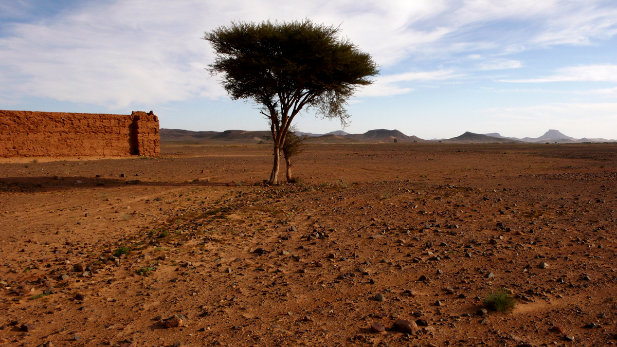 French fort, Sahara Desert, Morocco, 2006