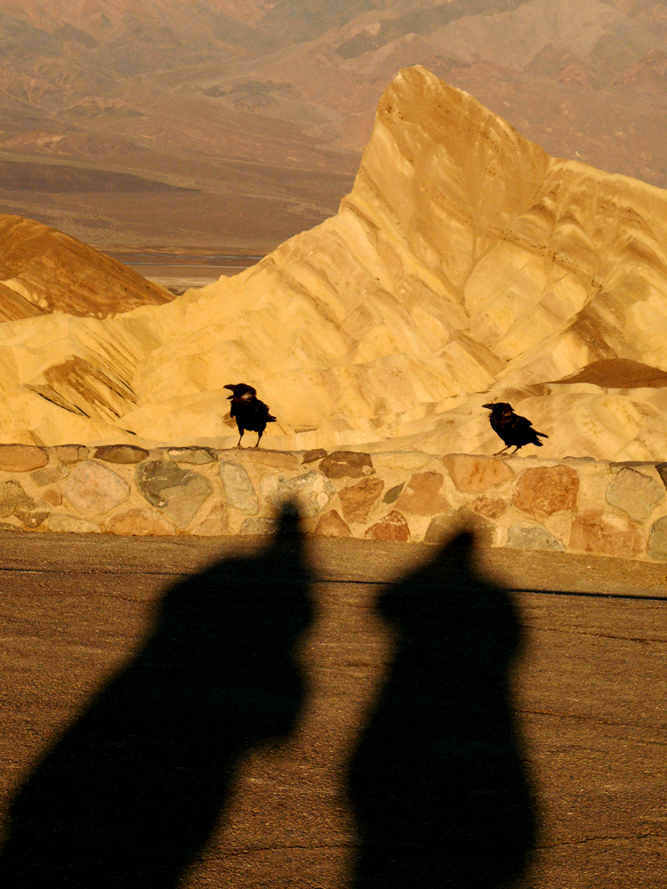 Raven Mavens, Zabriskie Point, Death Valley National Park, California, 2007
