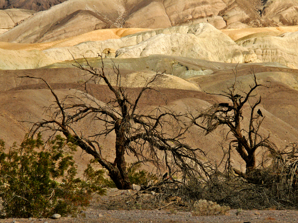 View from Furnace Creek, Death Valley National Park, California, 2007