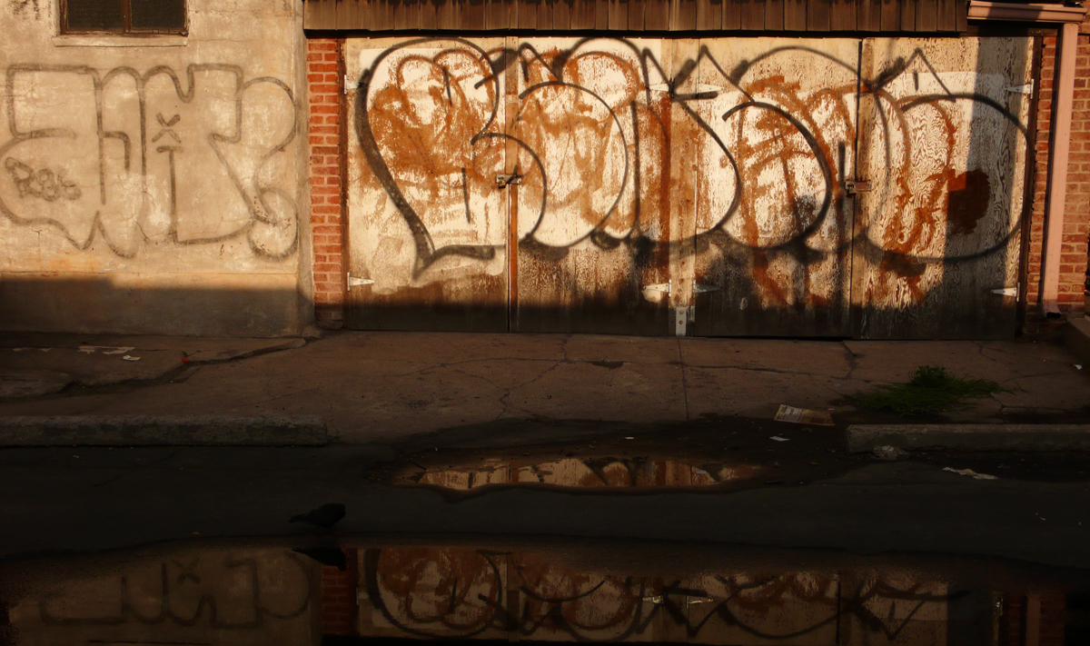 Alley, Denver, Colorado, 2007