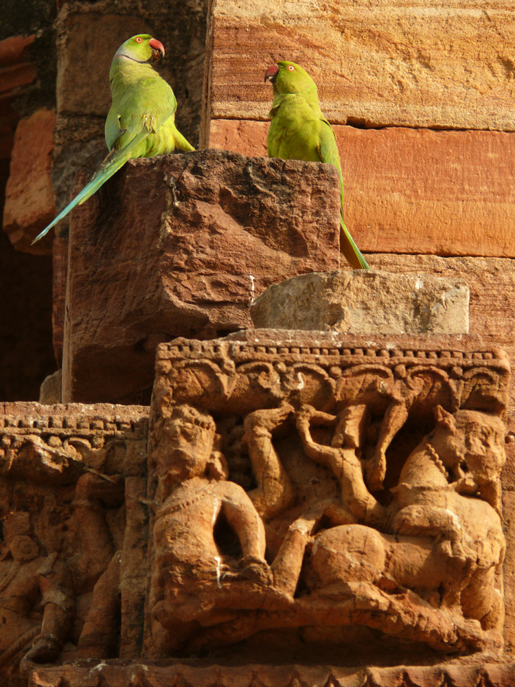 Argument, First Mosque, Old Delhi, India, 2008