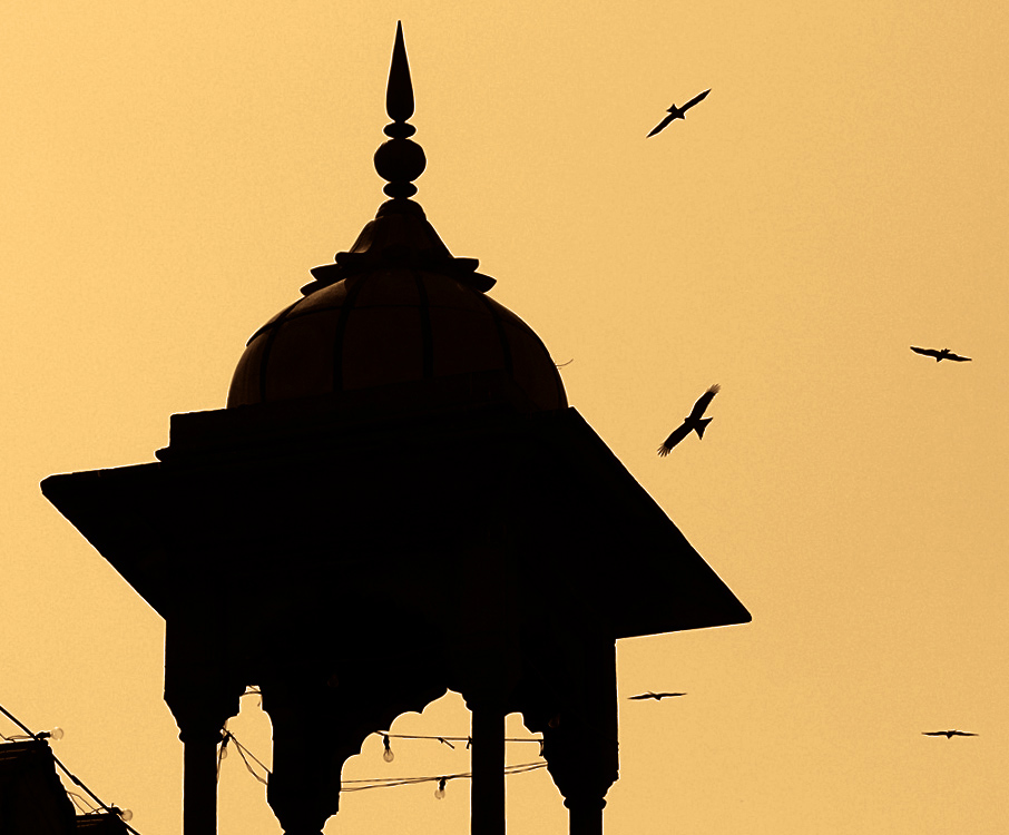 Jama Mosque, Old Delhi, India, 2008
