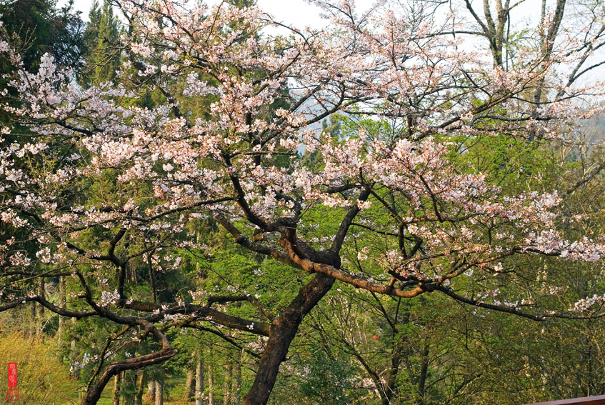 DSC_1453.jpg