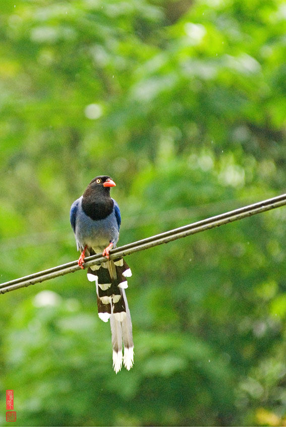 DSC_1907.jpg