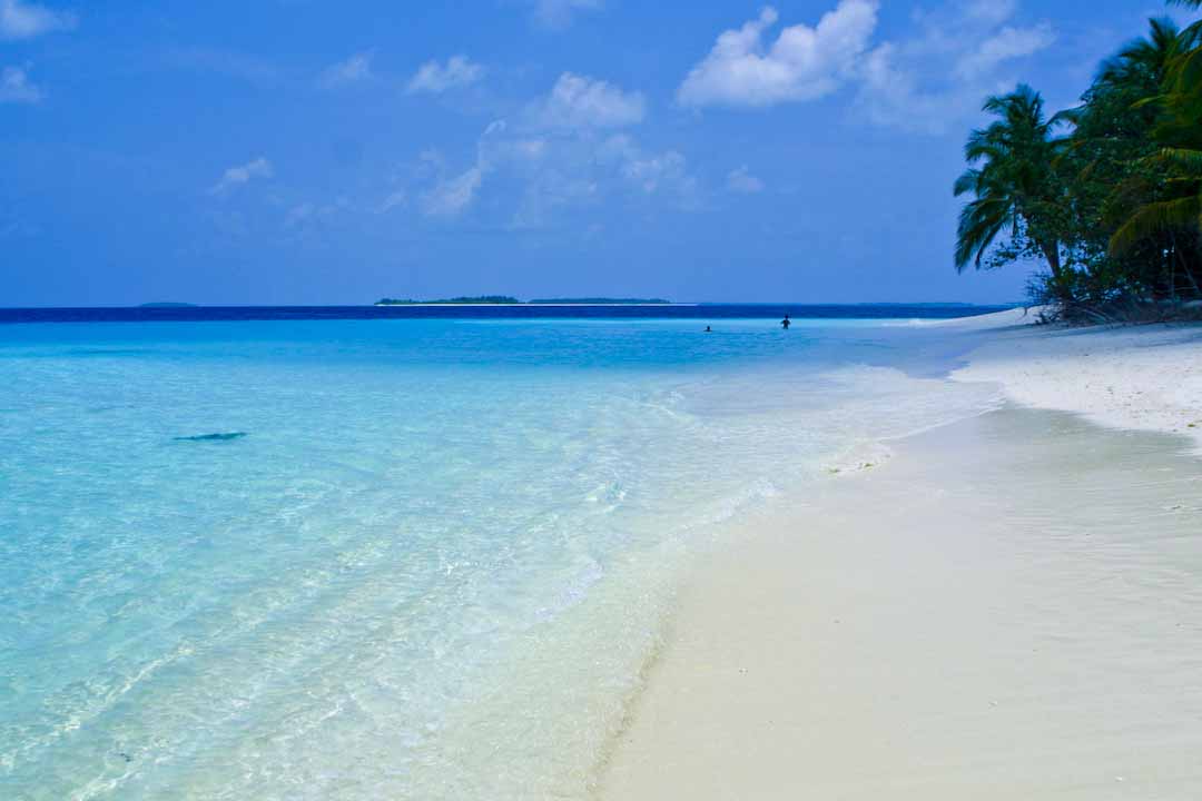 100-0040_IMG.jpg