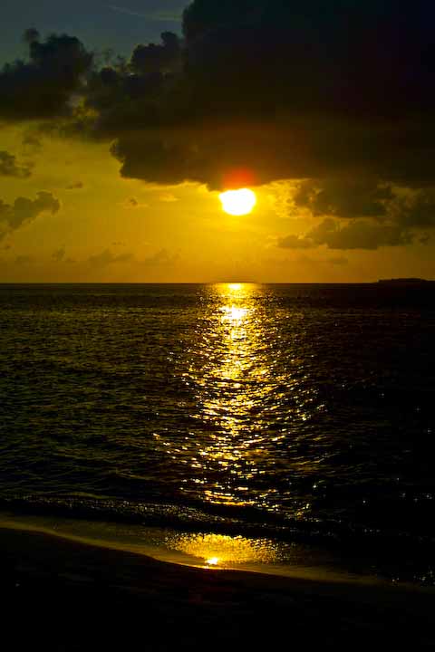 102-0213_IMG.jpg
