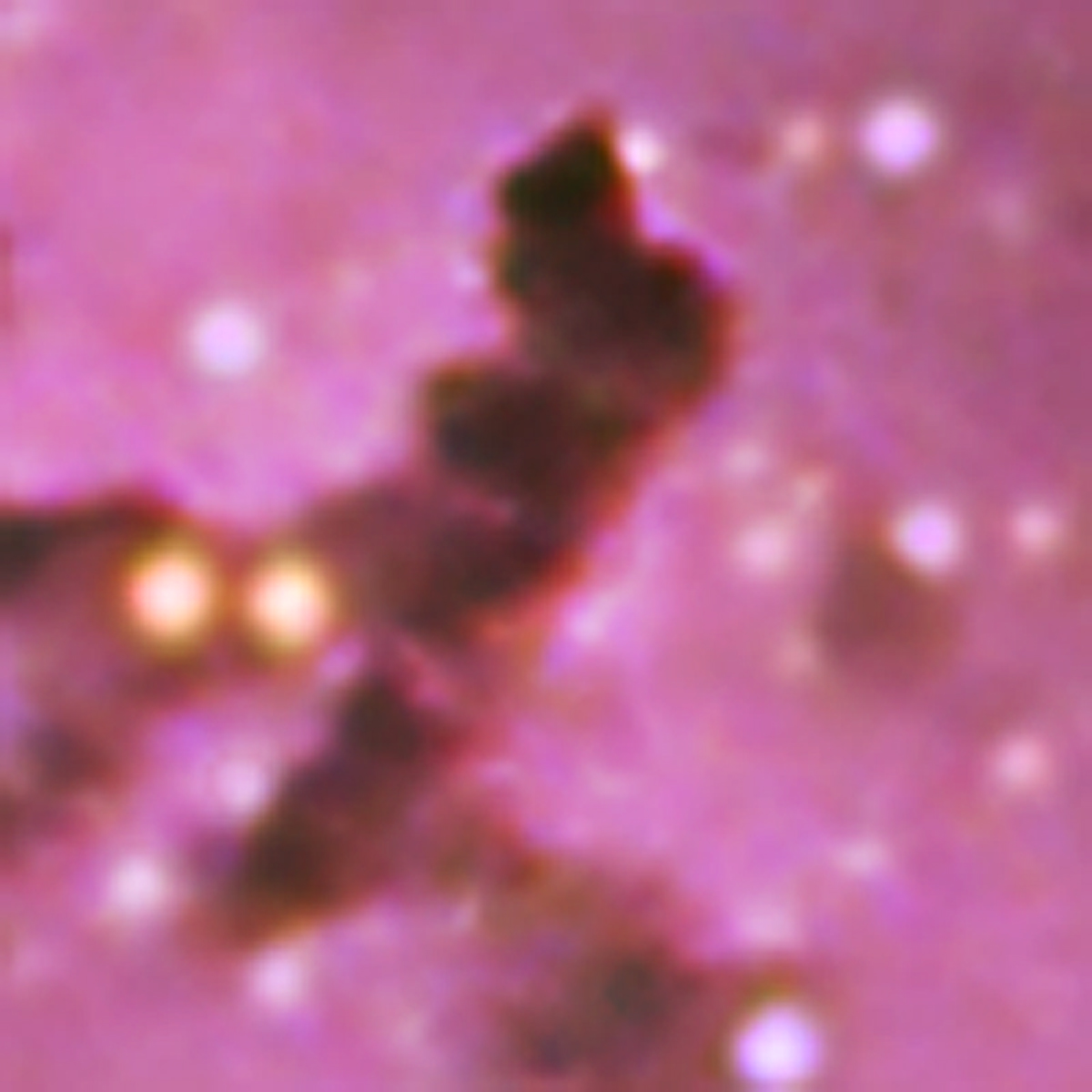 Rosette LRGB 90 60 60 40 minute crop.jpg