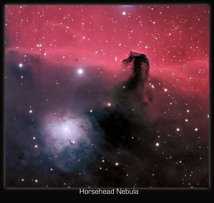 Horsehead closeup