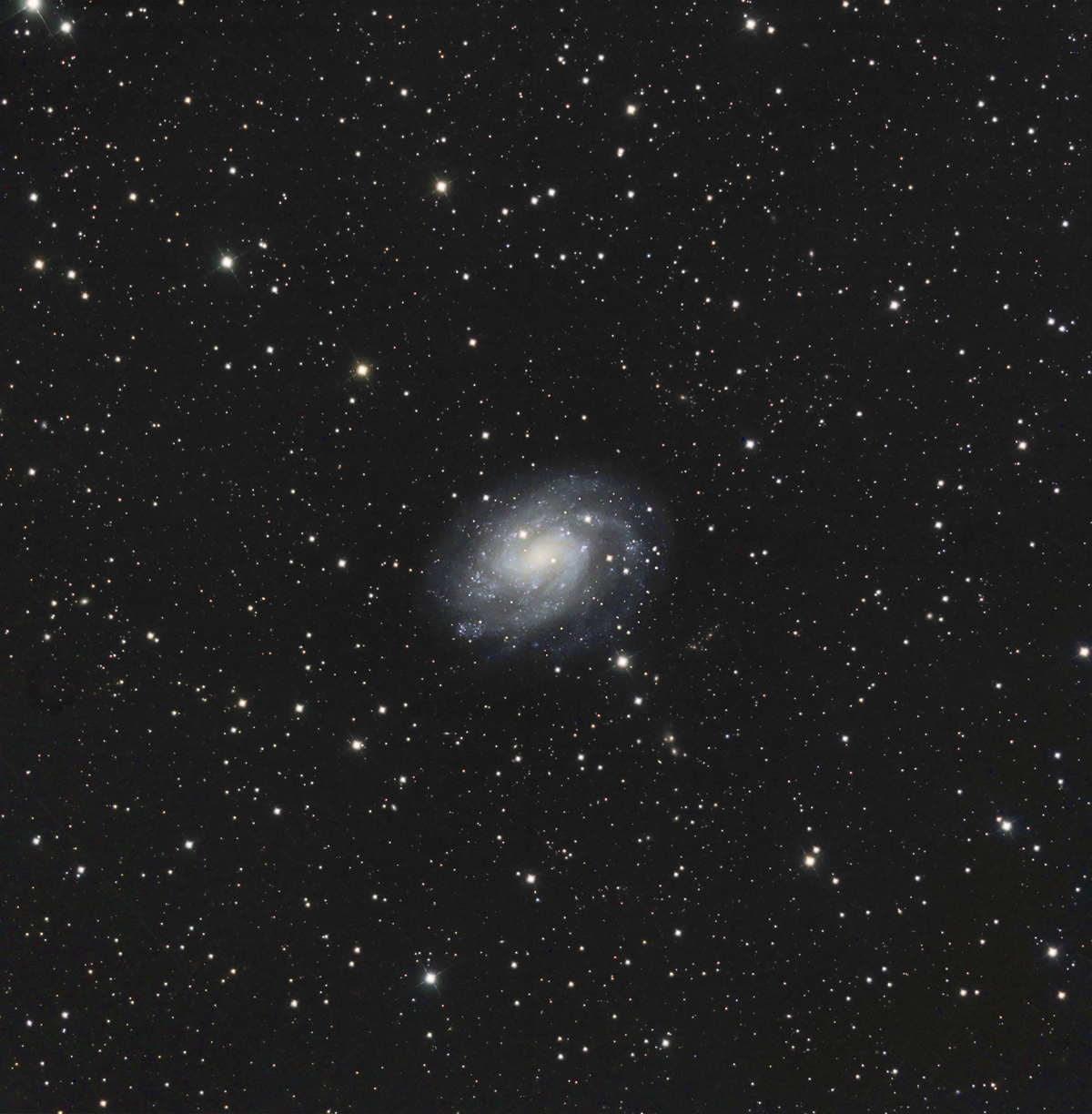 NGC300 LRGB 100 30 30 30