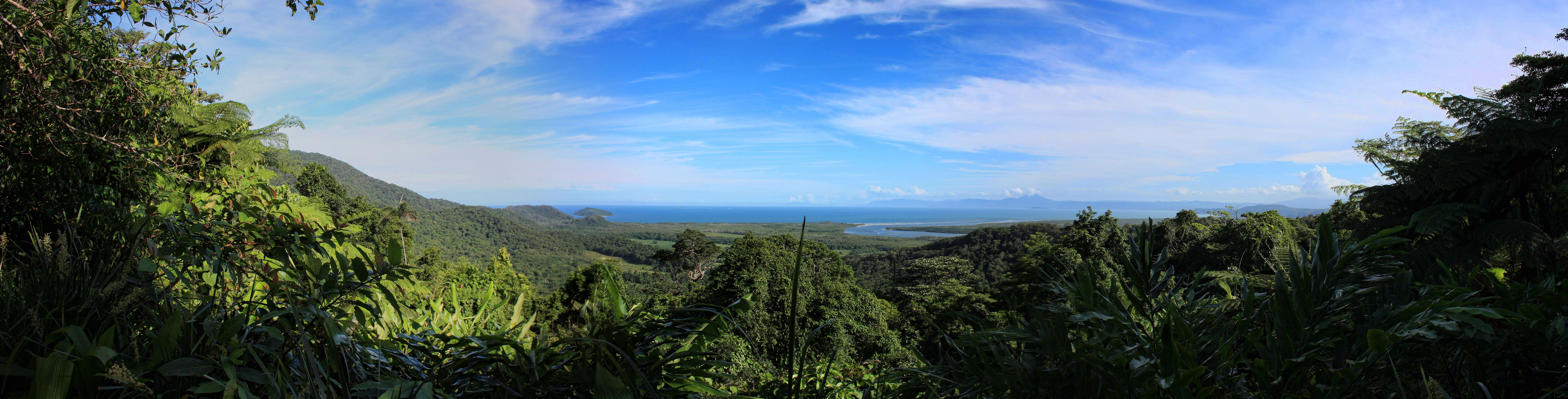 Daintree River near Cairns Queensland Australia Panorama