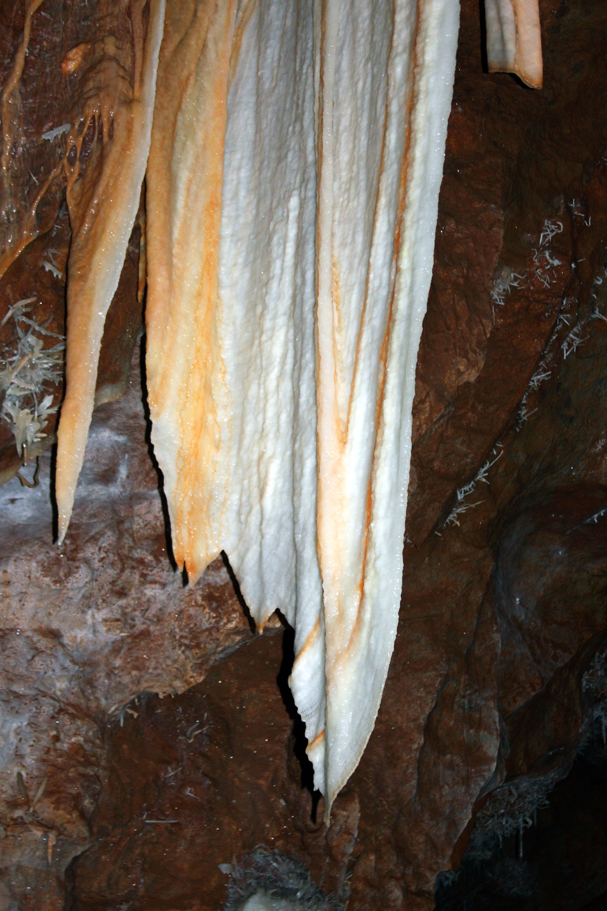 Delicate angle wing formation Orient Cave