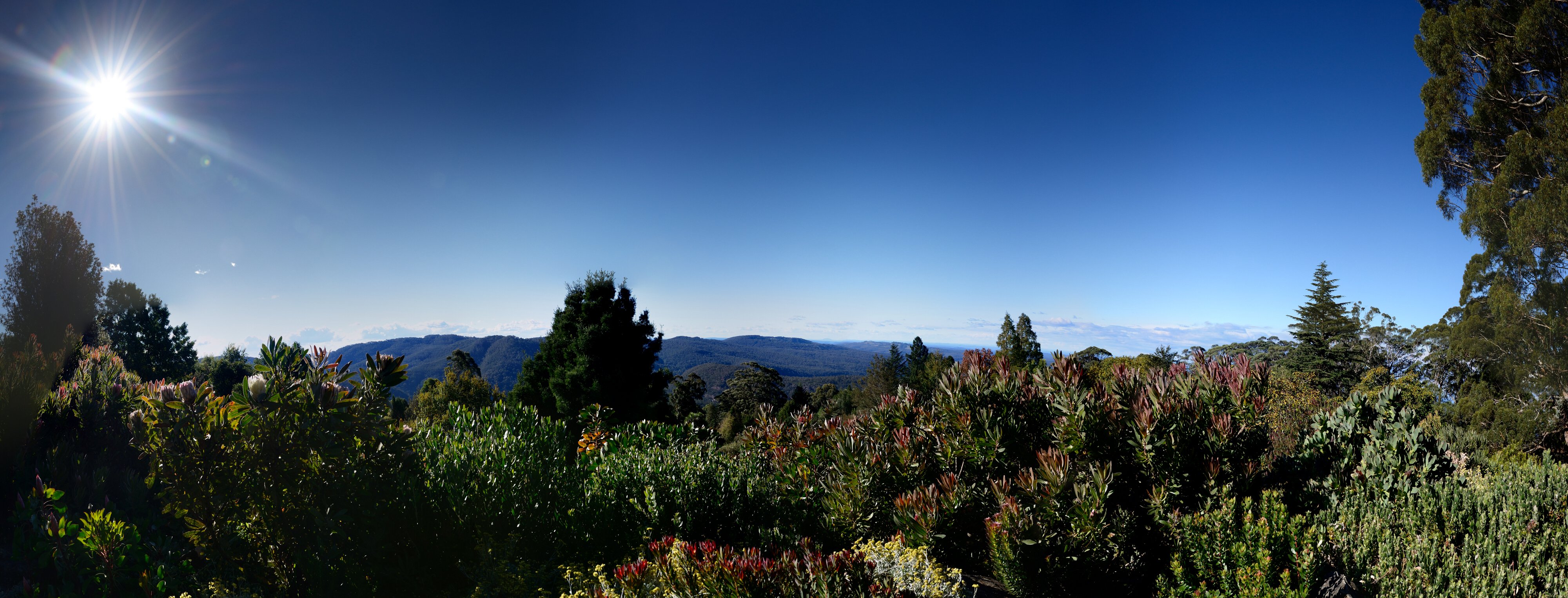 Mt Tomah lower garden view 9 image mosaic