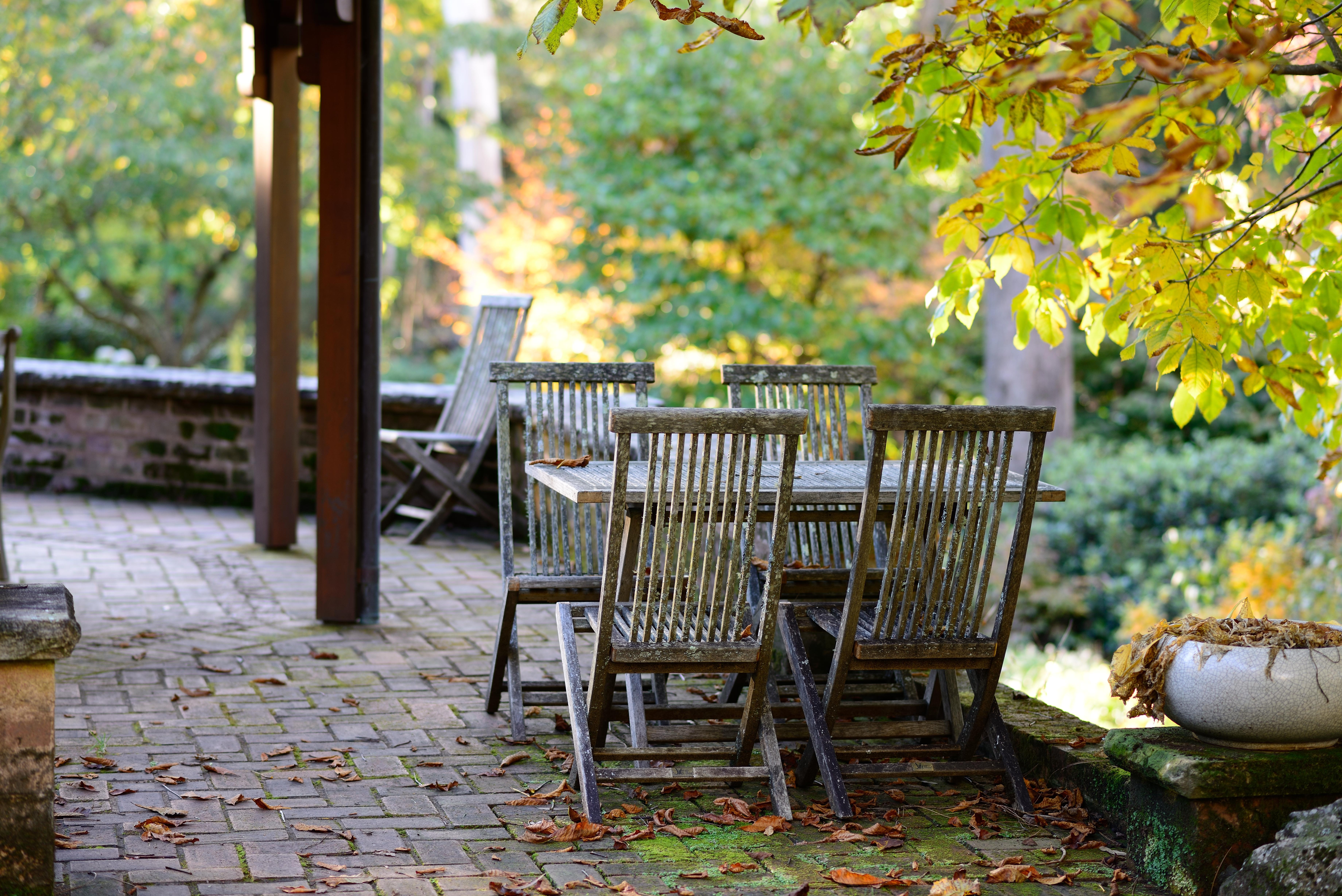 Mt Wilson Garden chairs 85mm F1.8