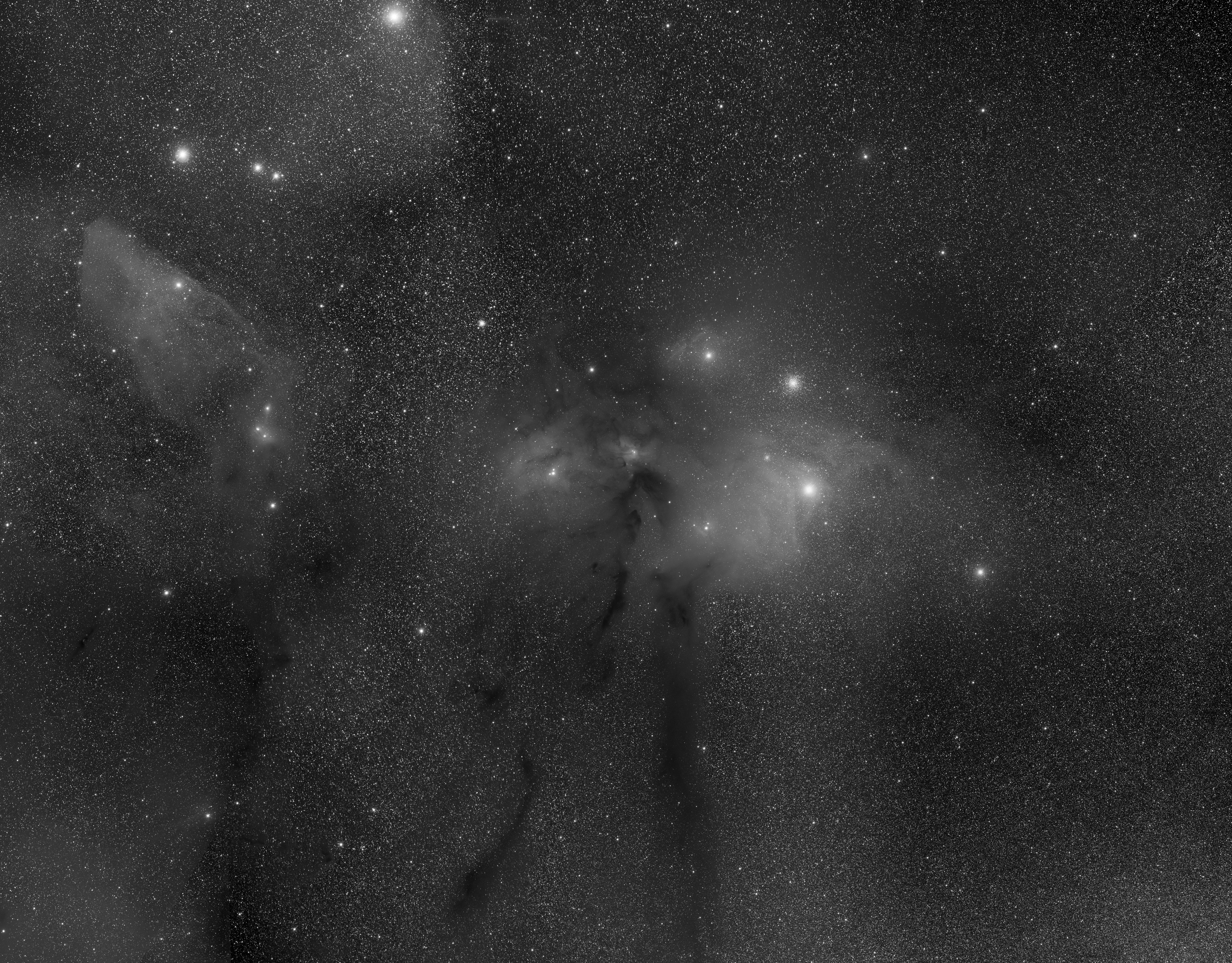 Rho Ophiuchi 13 panel mosaic luminance
