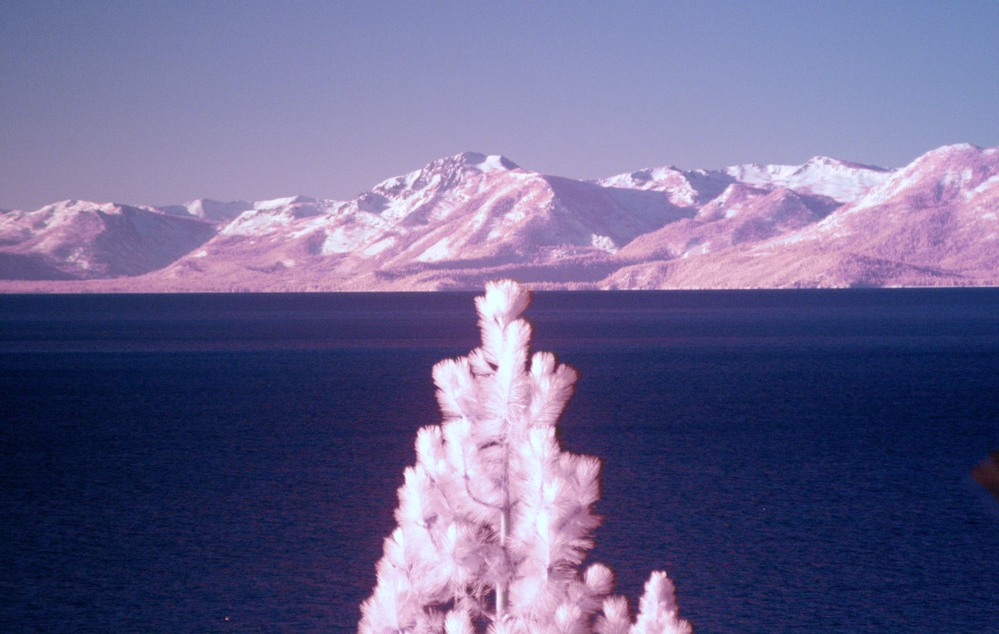 Lake Tahoe California infrared colour composite large
