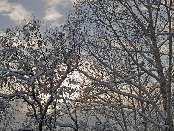 Record Snowfall