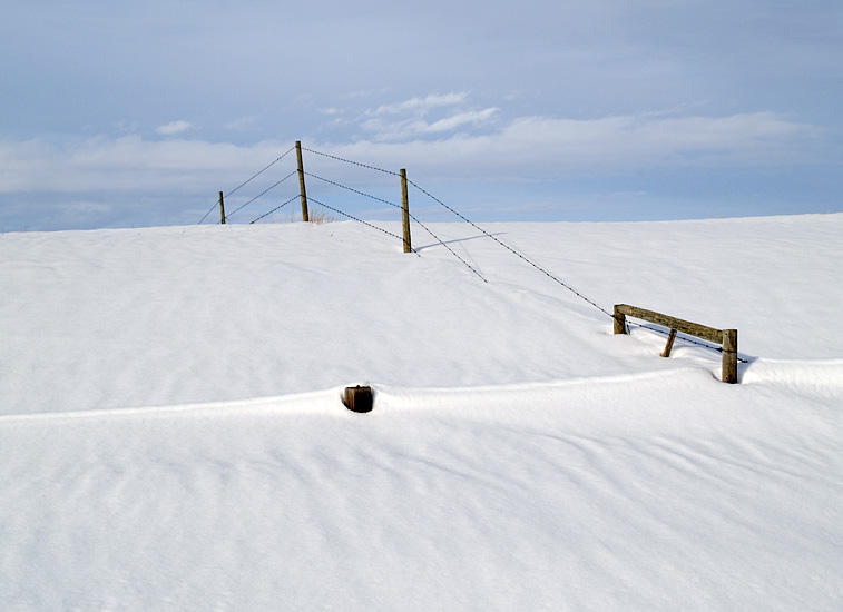 Winter... Snow... Fence...